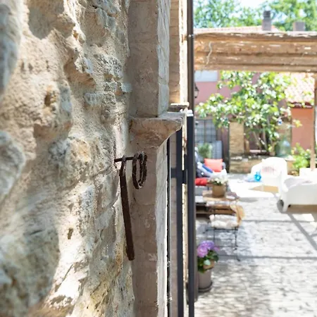 Il Fico Nel Pozzo - Yourplace Abruzzo 빌라