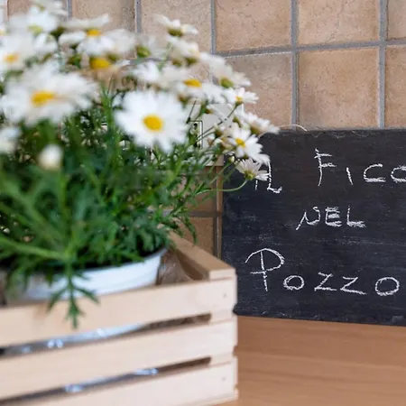 Il Fico Nel Pozzo - Yourplace Abruzzo 포사세시아
