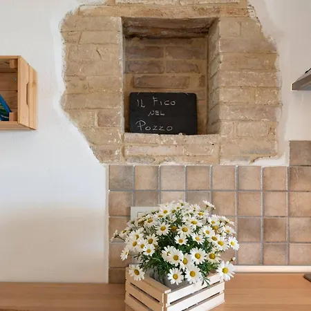 Il Fico Nel Pozzo - Yourplace Abruzzo * 포사세시아