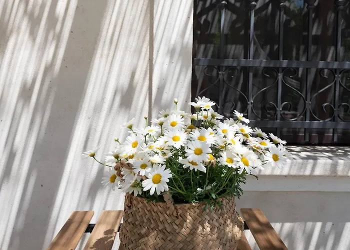 Il Fico Nel Pozzo - Yourplace Abruzzo