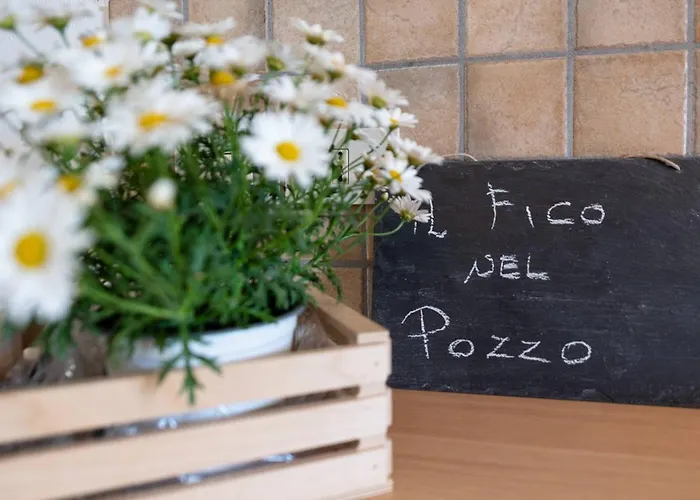 Il Fico Nel Pozzo - Yourplace Abruzzo Фоссачезия