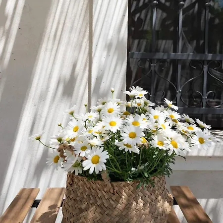 Il Fico Nel Pozzo - Yourplace Abruzzo