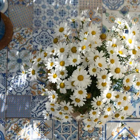 Il Fico Nel Pozzo - Yourplace Abruzzo Fossacesia