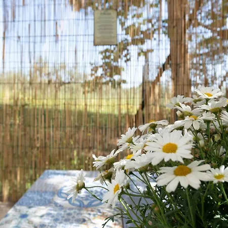 Il Fico Nel Pozzo - Yourplace Abruzzo