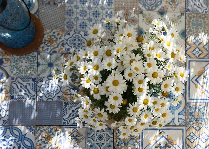 Il Fico Nel Pozzo - Yourplace Abruzzo Fossacesia