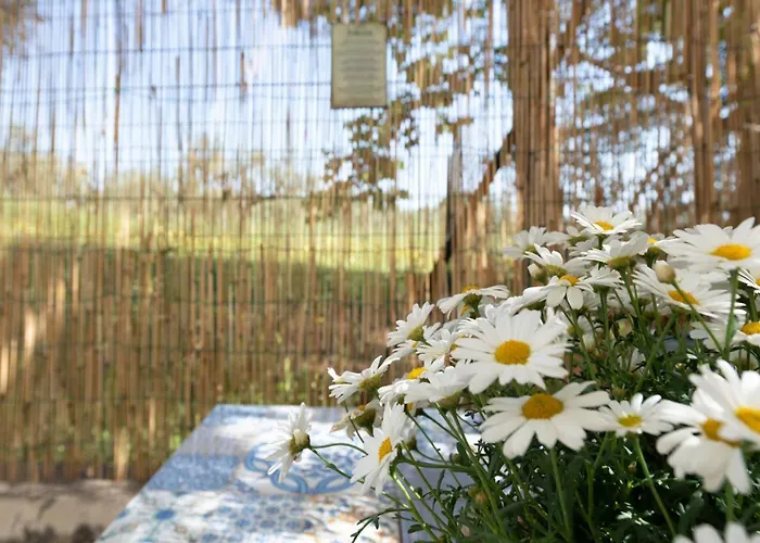 Il Fico Nel Pozzo - Yourplace Abruzzo